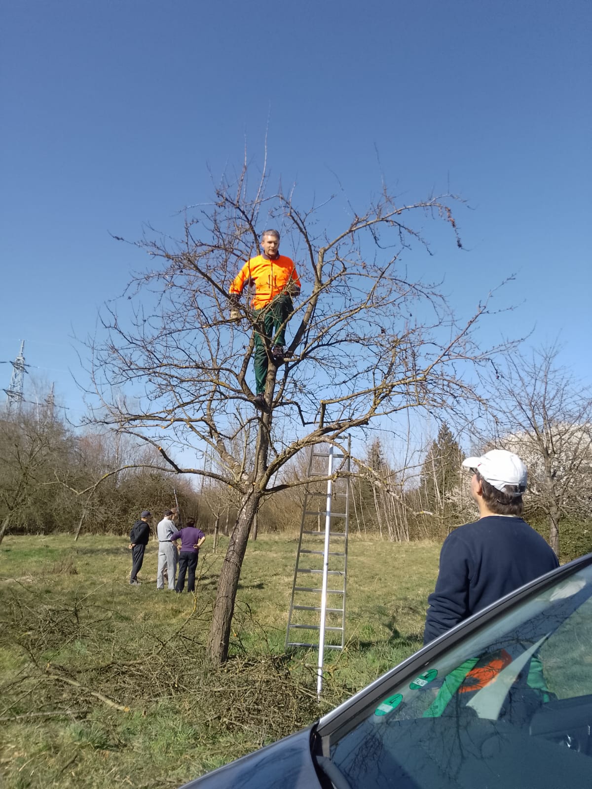 e17a3030e2f68f938c269241ab933c4d